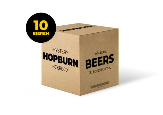 Mystery box - 10 bieren